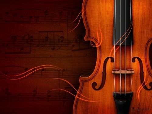 Danh sách giá mới nhất các dòng đàn violon